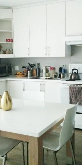 4 1/2 - Montréal (Hochelaga / Maisonneuve) - 1 665 $/mois - Photo 1