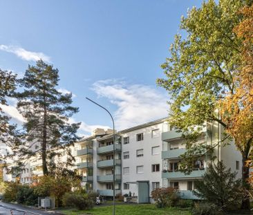 Gutes Preis-Leistungsverhältnis in Rheinnähe - Photo 2