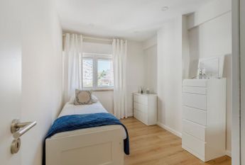 Estrada Serra da Mira