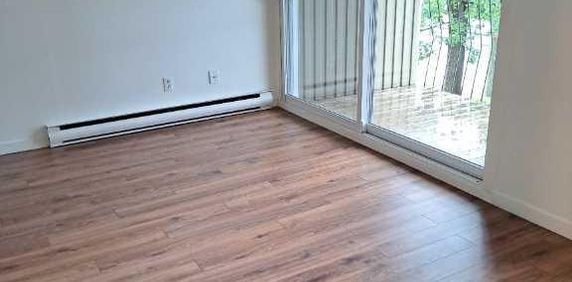 4 1/2 Chauffé/Éclairé, Décembre, Lévis secteur Desjardins, UQAR, CFP - Photo 2