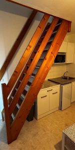 Location Appartement 1 pièce 20m² TOURS 37000 - Photo 3