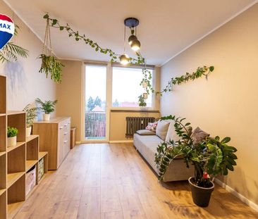 Do wynajęcia 3 pokoje w centrum Zielonej Góry! - Фото 3