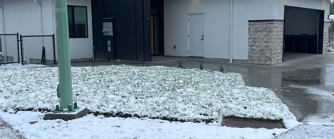 494 Trumpeter Lower 2bd 1bth suite - Photo 1