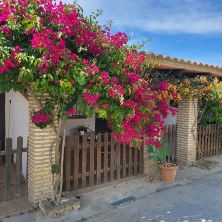 Conil De La Frontera - Photo 3