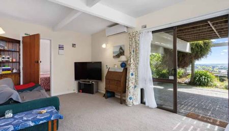 Cashmere Hillside Apartment - Photo 4