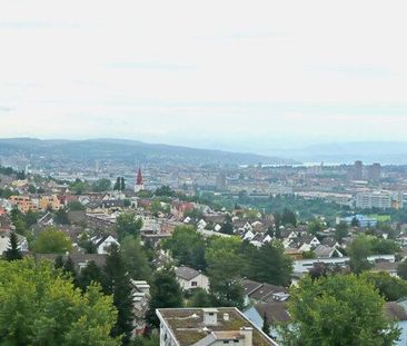 Traumhafte Aussicht über Zürich mit Bergpanorama - Photo 5
