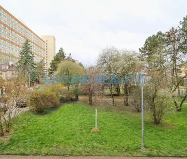 Pronájem bytu 1+1 39 m² - Photo 6