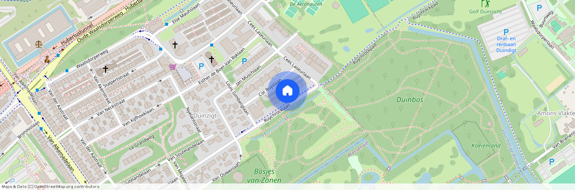 Ruychrocklaan 418, Duinzigt, 2597EH, Den Haag