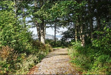 Torsby skogsväg, Värmdö - Foto 4