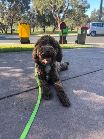 Coburg North - Photo 3