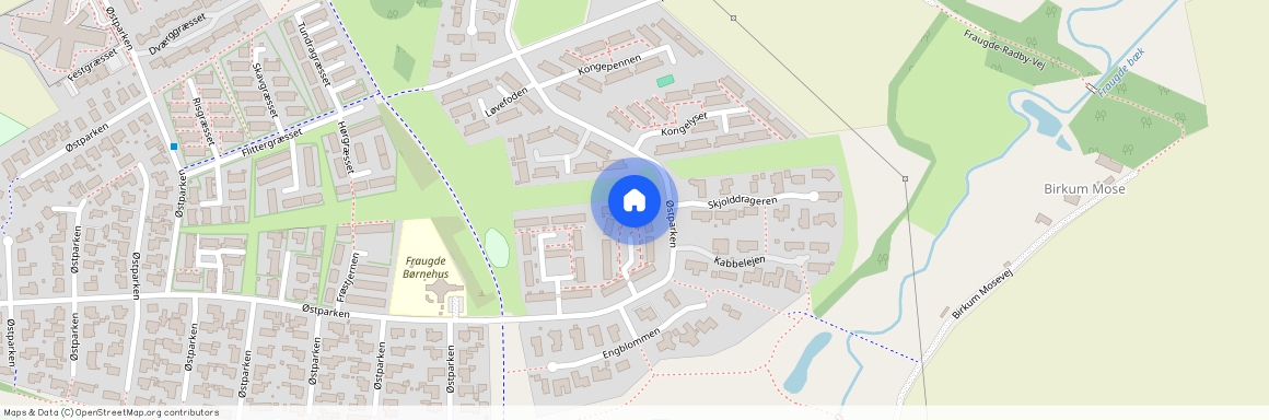 Druemunken 27, 5220 Odense SØ
