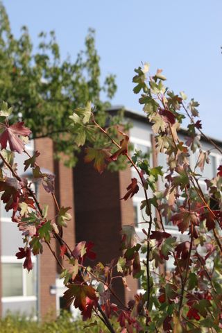 Amorvägen, Kalmar - Foto 2