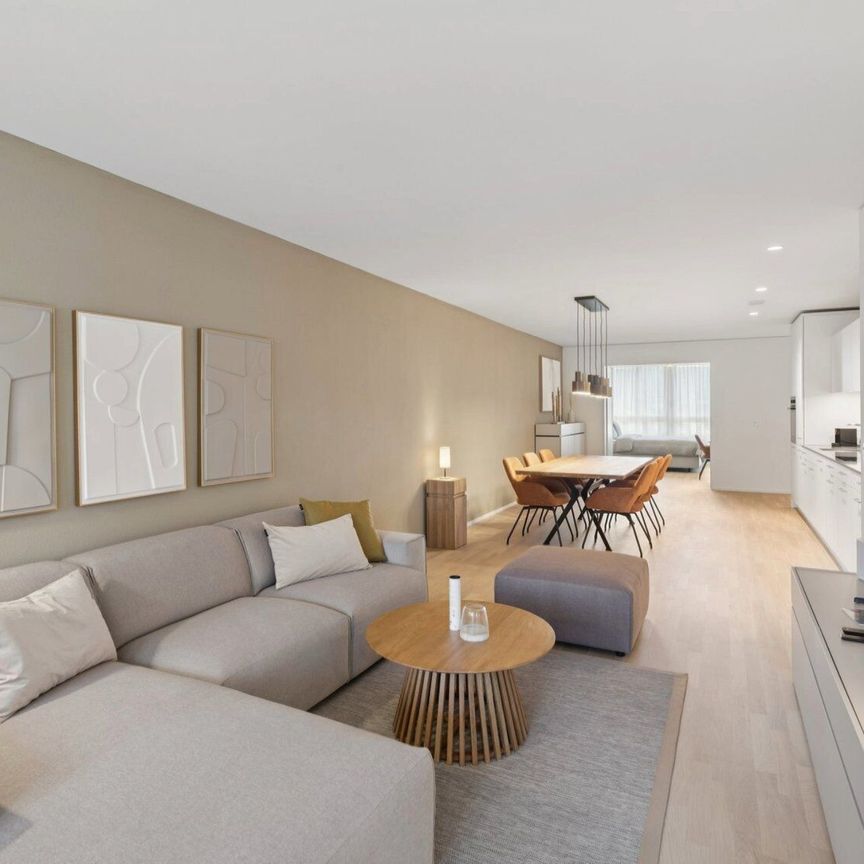 Furnished apartments with Madrid charm in the largest shopping center in Switzerland - Photo 1