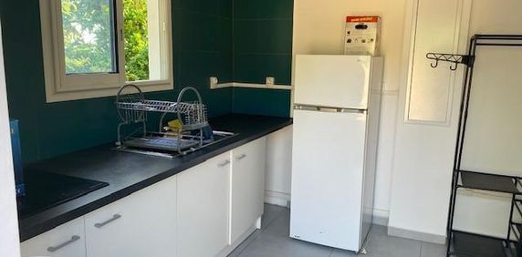 Location Appartement 1 pièce 17m² ST PIERRE 97410 - Photo 2