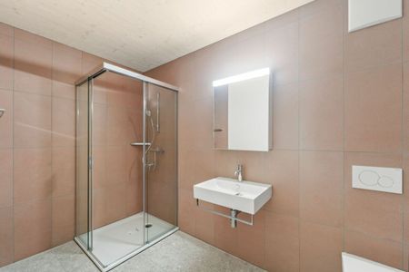 Design trifft Geschichte - exklusive, doppelstöckige Wohnung im Spinnereiareal (Erstbezug) - Foto 5