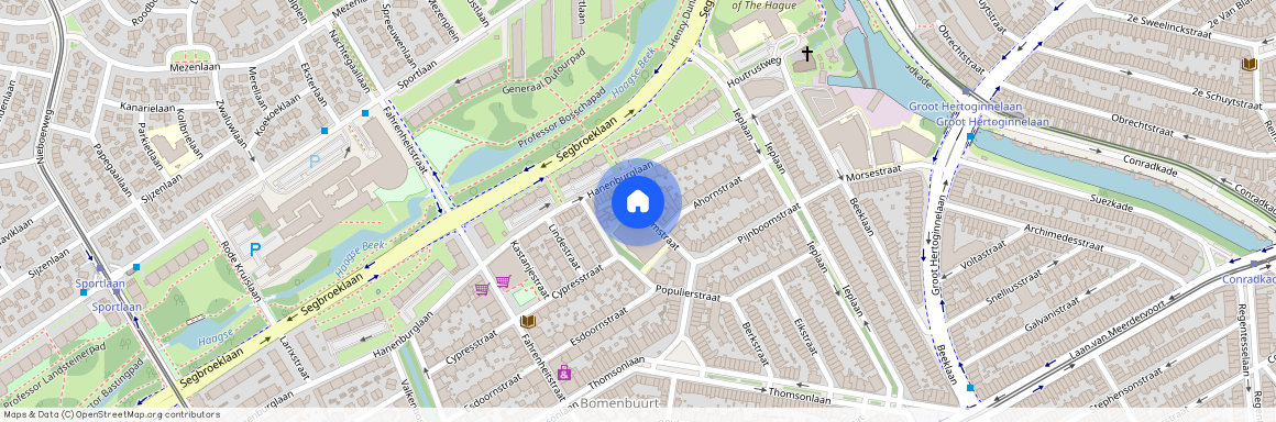 Bomenbuurt, 2565 ZM, Pijnboomstraat, Den Haag