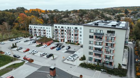 Trädgårdsgatan 10 - Foto 4