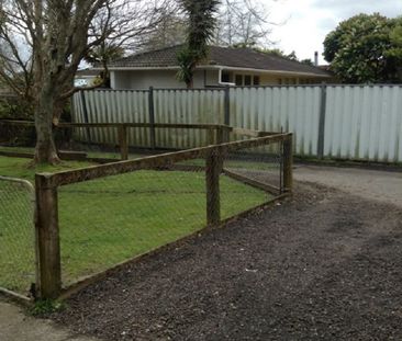 Waiuku - Photo 1