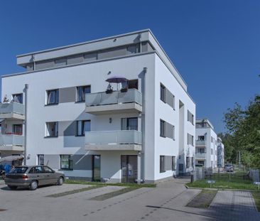 Demnächst frei! 3-Zimmer-Wohnung in Dortmund Mengede - Foto 5