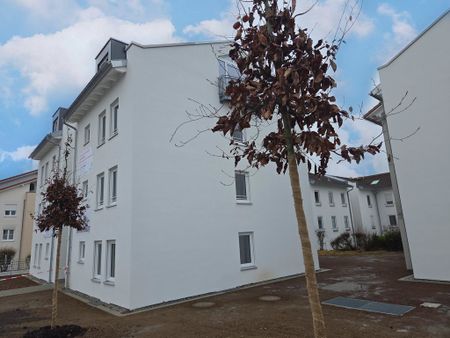 Helle 2-Zimmer-EG-Wohnung mit sonniger Terrasse - Foto 5