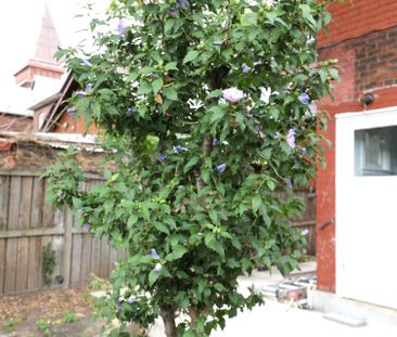 For Lease - 148 Victoria Avenue Unit# Upper level unit, Hamilton, O... - Photo 4