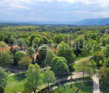 Pronájem bytu 2+kk • 50 m² bez realitkyPodkrušnohorská, Litvínov - ... - Photo 2