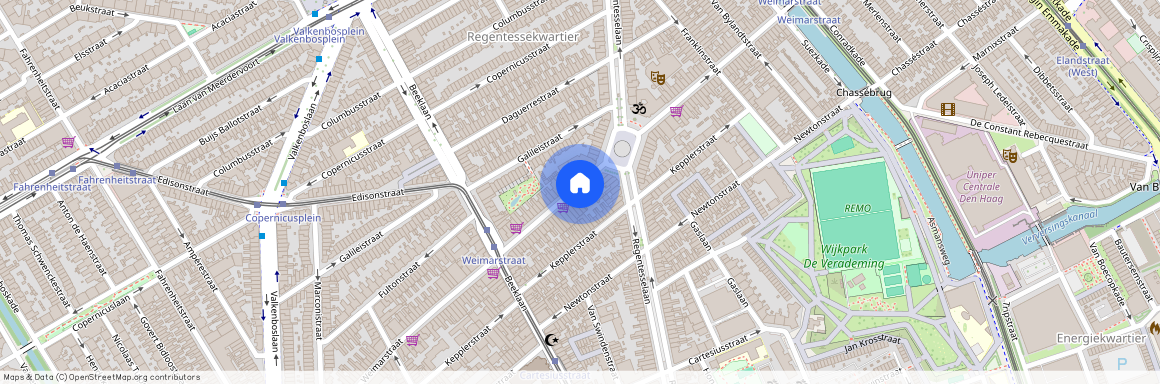 Weimarstraat, 2562 HB, Den Haag