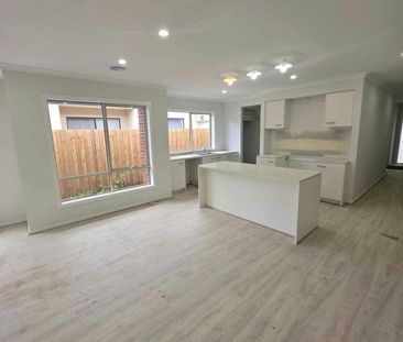 Brand New Family Living in Aintree Perfectly Positioned! - Photo 5