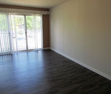 12, 5210 48 Ave - Photo 3