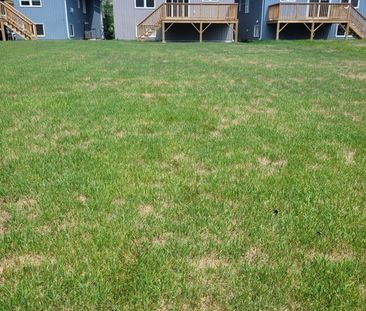 For Lease - 3213 Mosley Street, Wasaga Beach, Ontario - Photo 1