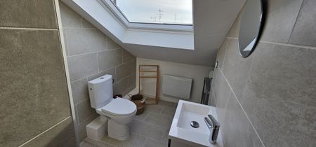 Location Appartement 1 pièce 50m² MULHOUSE 68100 - Photo 4