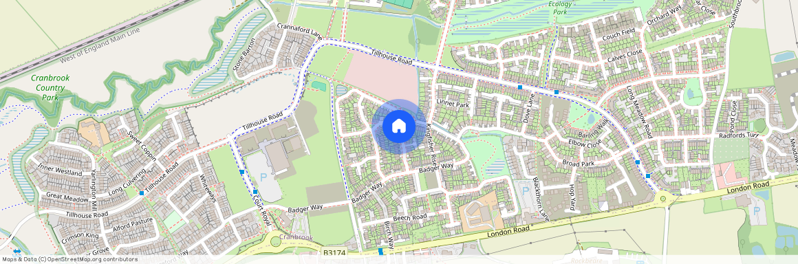 Luccombe Oak, Cranbrook, Exeter