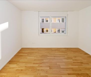 "Ihr neues Zuhause?" - Foto 2