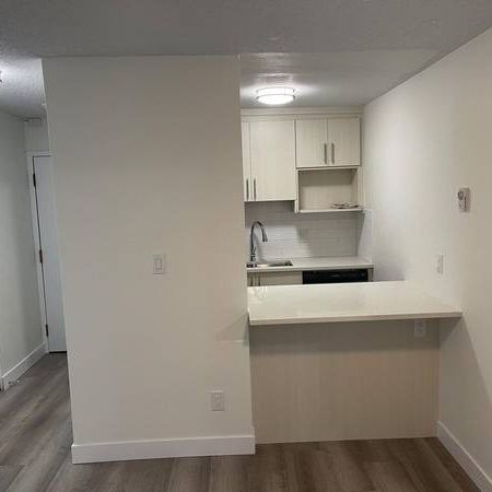 Newly Renovated, Open Concept 2 Bedroom Suite in Mount Pleasant - Photo 1