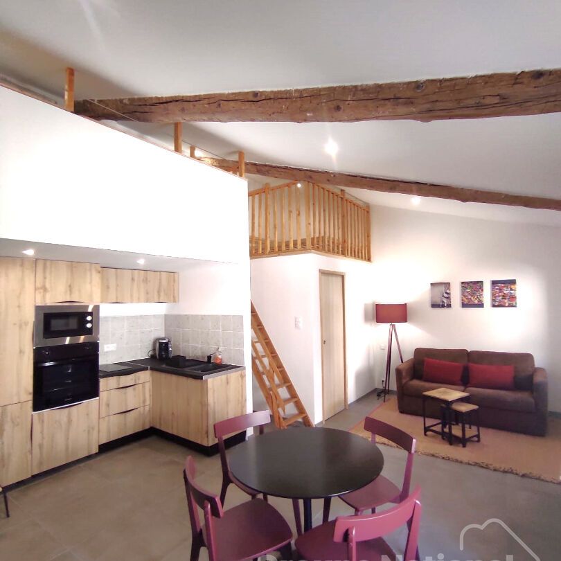 GRAND STUDIO AVEC MEZZANINE 38.90m² (au sol), - Photo 1