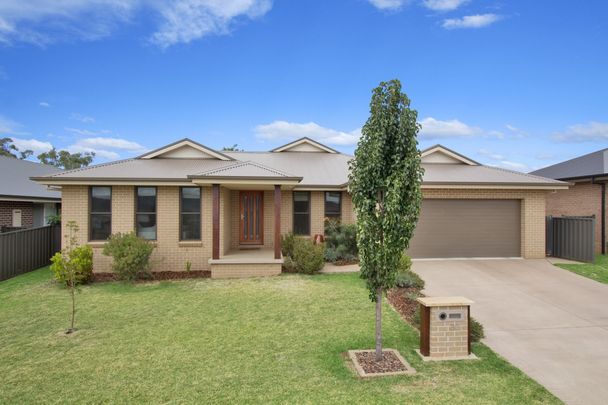 30 Semillon Drive, Tamworth - Photo 1