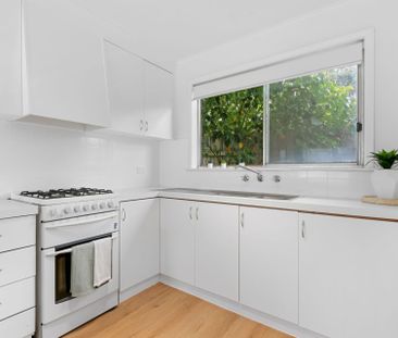 Two Bedroom Renovated Unit - Photo 5