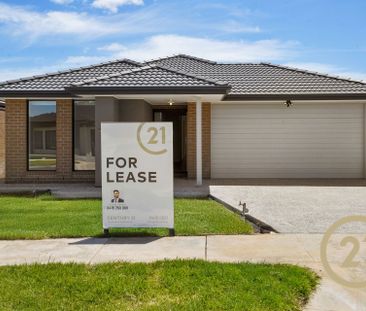 Spacious & Brand New! - Photo 6