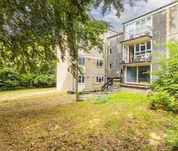 2 bed Apartment for rent - Photo 4