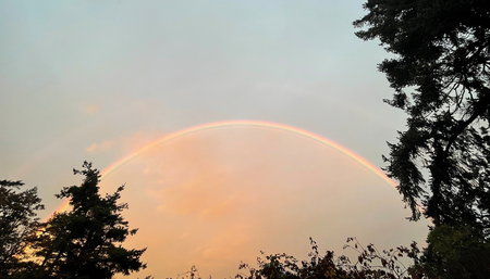 Christie Point Apartments - Photo 4