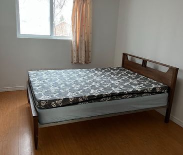 For Lease - 74 glendower Circuit Unit# LOWER, Toronto, Ontario - Photo 4