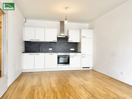 AKTION - 2 MONATE MIETZINSFREI - Wohnen mit Weitblick – Stilvoll leben im Süden von Graz - Photo 5