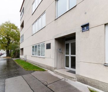 Ruhelage! Schöne 2-Zimmer-Wohnung in Großjedlersdorf zu vermieten! - Photo 2