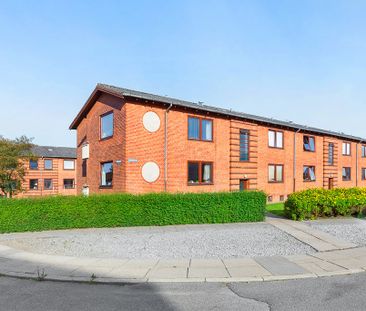 Afd. 2 Fuglebakken 1 - Photo 2