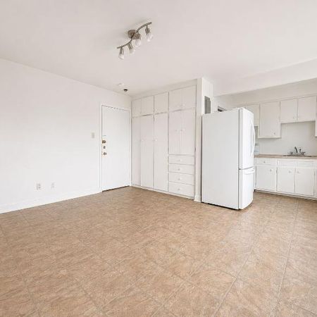 1 CH - 1 SDB - Montréal - $1,050 /mo - Photo 3