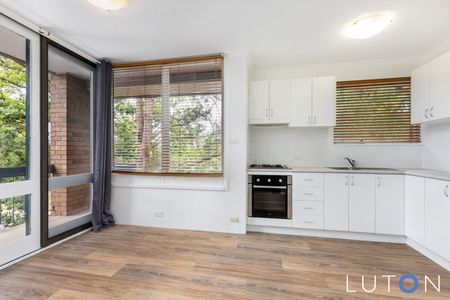11C/6 Irvine Street, Watson ACT 2602 - Apartment For Rent | Domain - Photo 2