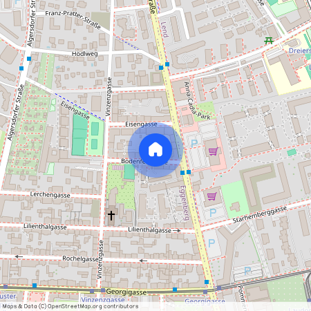 8020 Graz, 14.Bez.:Eggenberg Bodenfeldgasse 8a