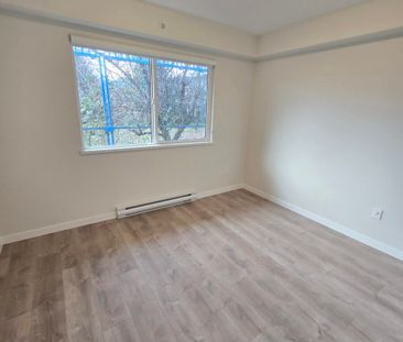 Brand New Unit in Chilliwack - Photo 4