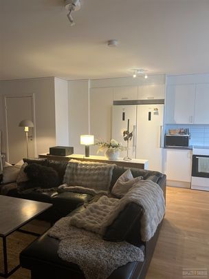 Segerstadsvägen 19E - Foto 1