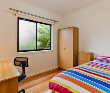 PLH1 Small - Photo 2